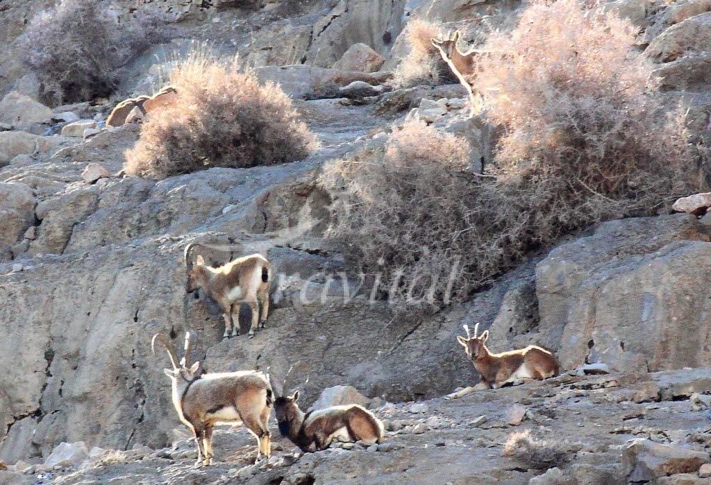 Kolah Qazy Protected Zone – Isfahan - view 2
