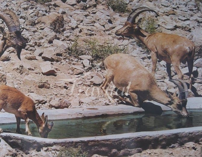 Kolah Qazy Protected Zone – Isfahan - view 3
