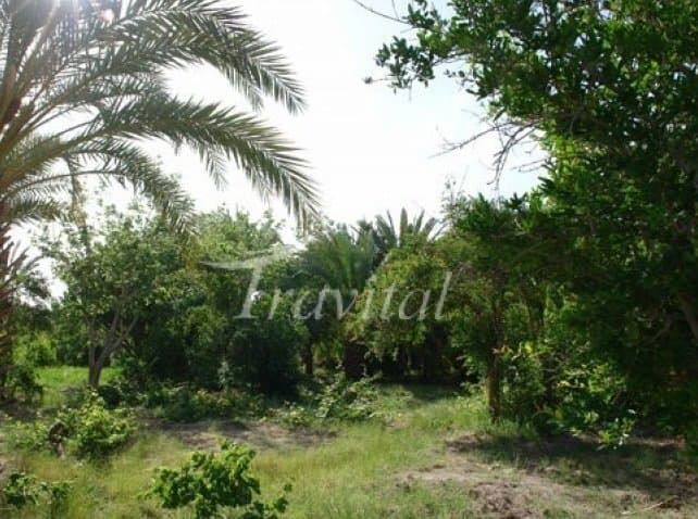 Ladiz Village – Zahedan - view 3