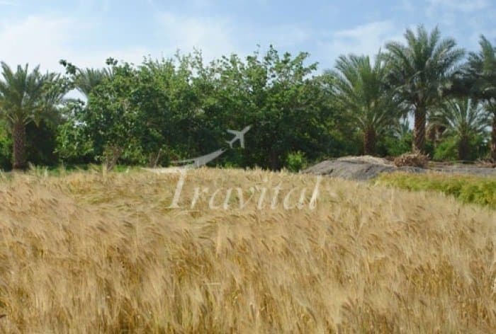 Zahedan - view 3