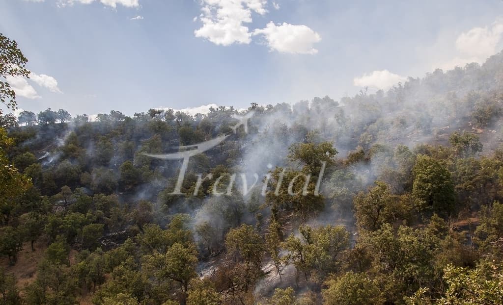 Marivan Forests – Marivan