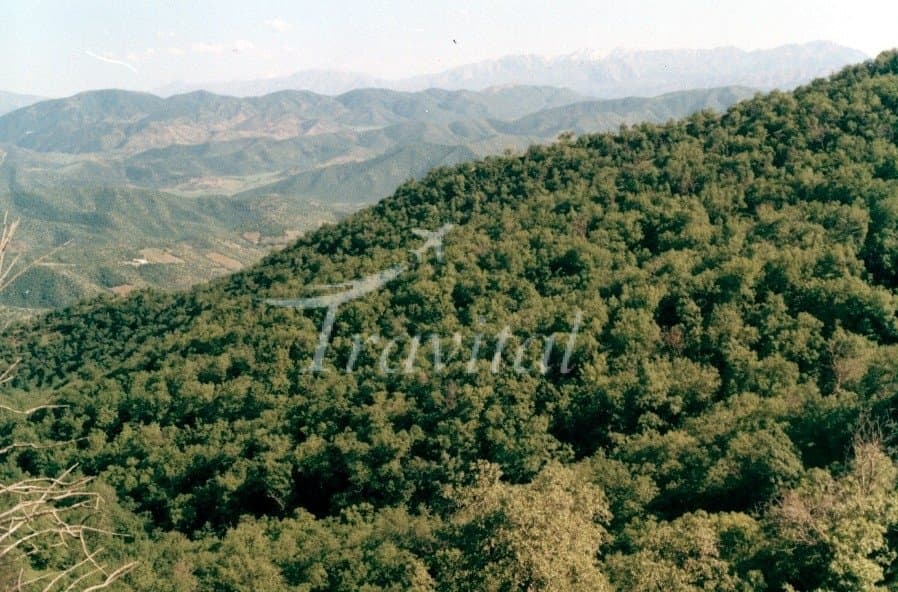 Marivan Forests – Marivan - view 2