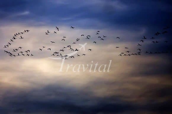 Miankaleh Protected Area – Behshahr - view 2