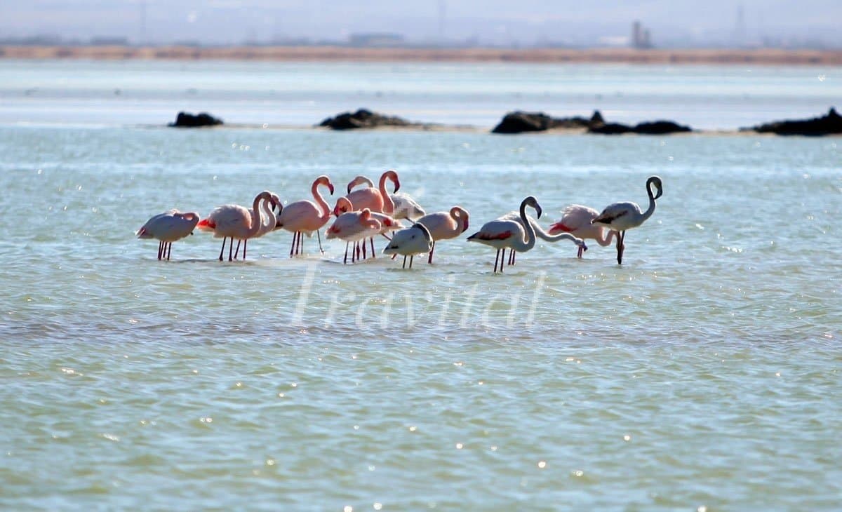 Miqan Lake – Arak - view 2