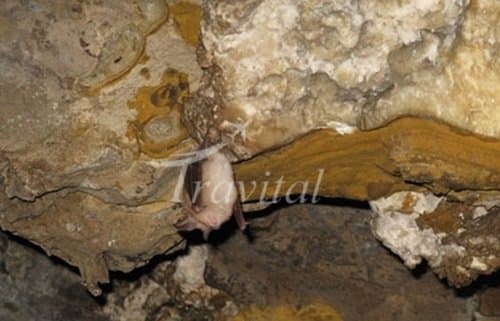 Mozdooran Cave – Mashhad - view 2