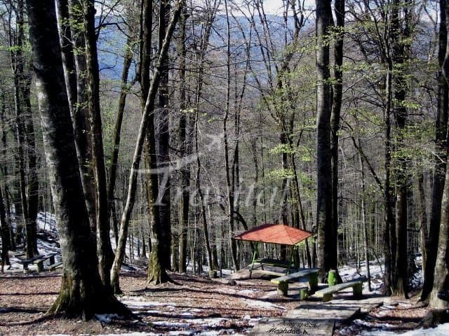 Namak Abrud Forest Park – Chalus - view 3