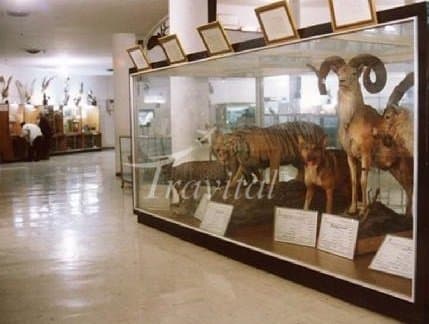 Natural History and Technology Museum – Shiraz - view 3