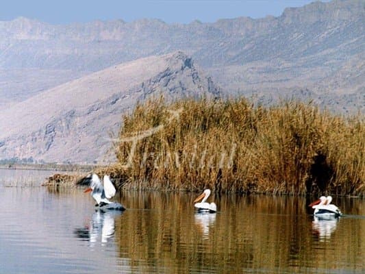 Parishan Lake – Kazeroon - view 2