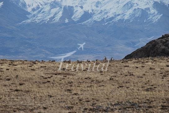 Protected Wildlife Zones – Hamedan - view 2