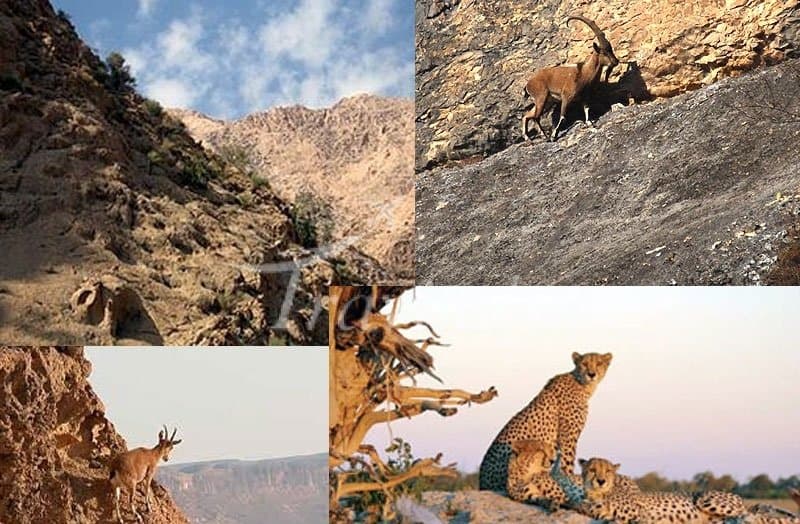 Protected Wildlife Zones and Hunting Sites – Kermanshah - view 3