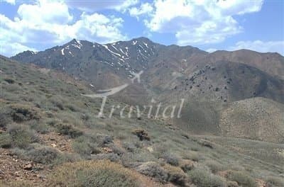 Protected Zones – Kerman - view 2