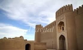 Rayen Castle – Kerman - view 2