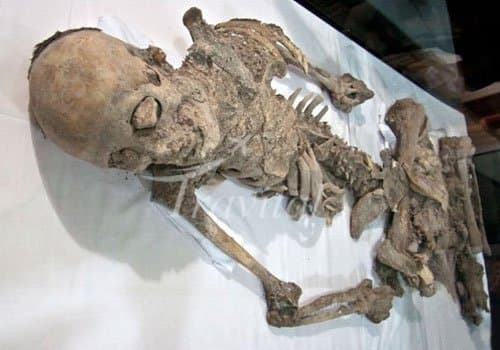 Saltmen Museum of Zanjan – Zanjan - view 3