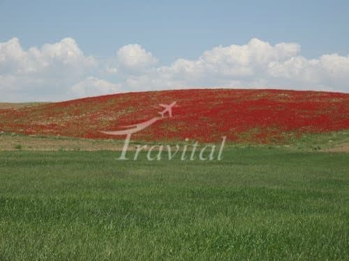 Saqez Plains – Saqez - view 2