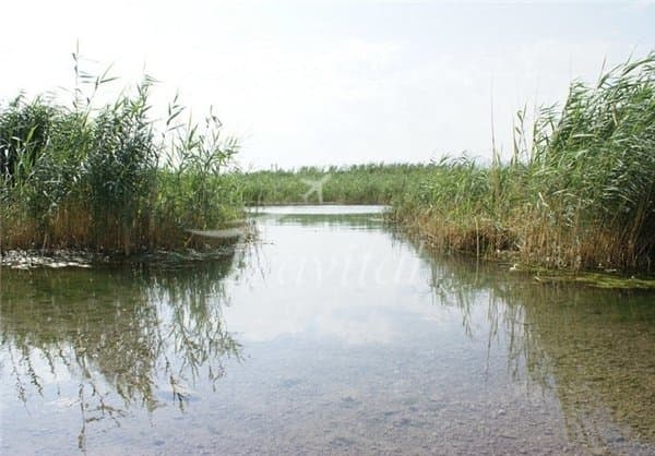 Sarab Kangavar River – Kermanshah - view 3
