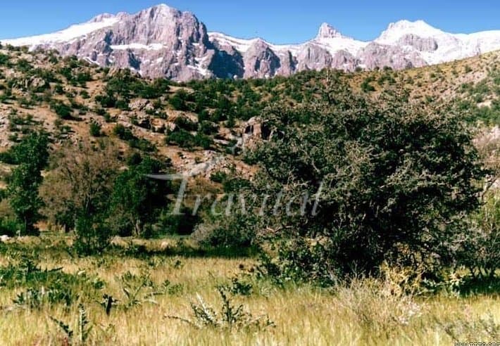 Sefid Mountain – Boyer Ahmad (Yasuj) - view 2
