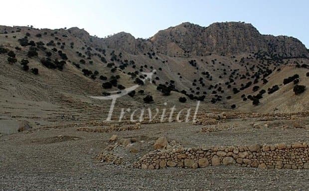 Shami Graveyard – Eazeh - view 3