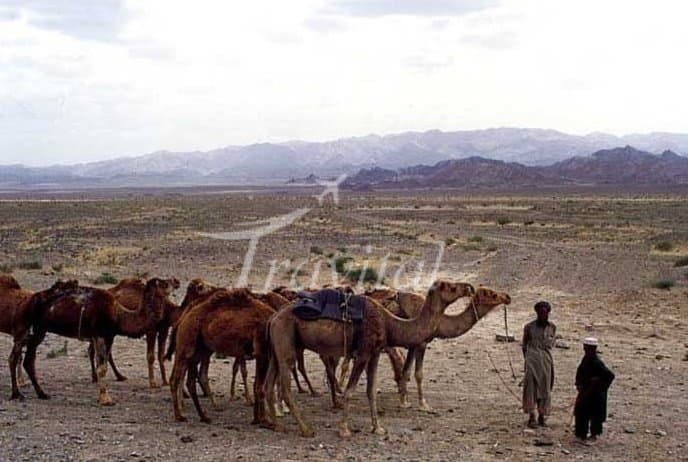 Sistan Plain – Zabol