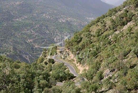 Tamoradi Gorge – Dehdasht (Kohgiluyeh) - view 3