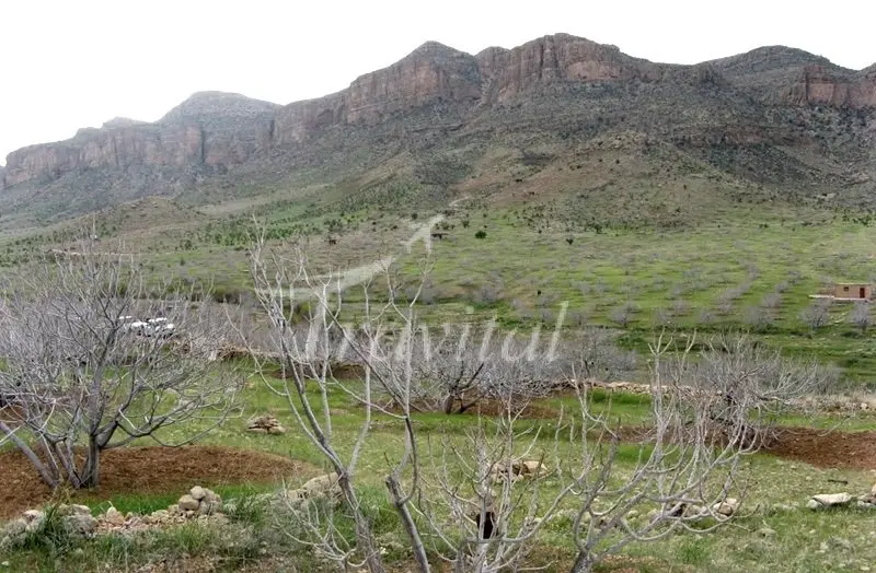 Tang-e Palangan – Neyriz - view 3