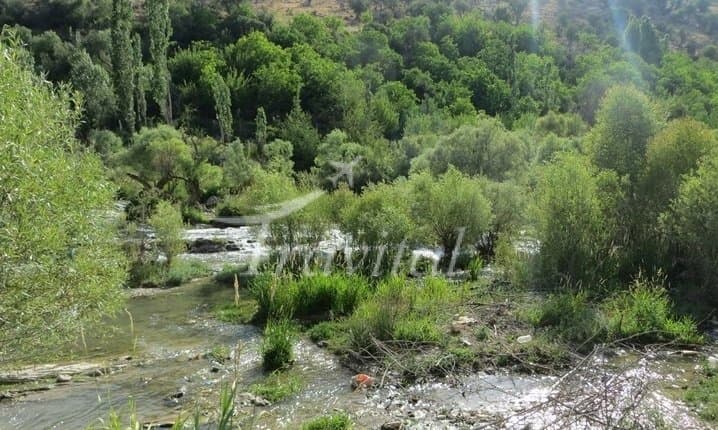 Tang-e-Tizab Recreation Site – Sepidan - view 3