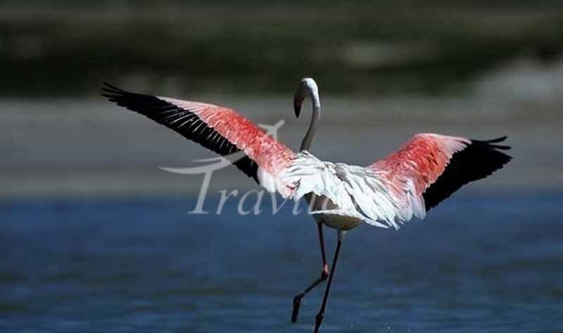 Tashak and Bakhtegan Lake – Neyriz - view 3