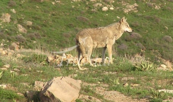 Tondureh National Park