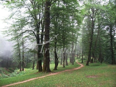 Tonekabon and Ramsar Forests – Ramsar - view 1