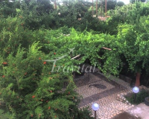 Godean Guesthouse – Kerman - view 5