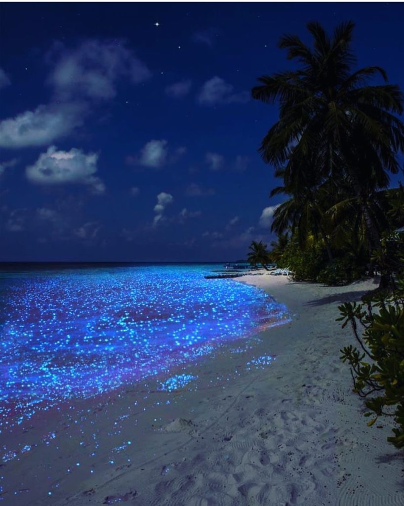 The glowing Vaadhoo beaches in Maldives